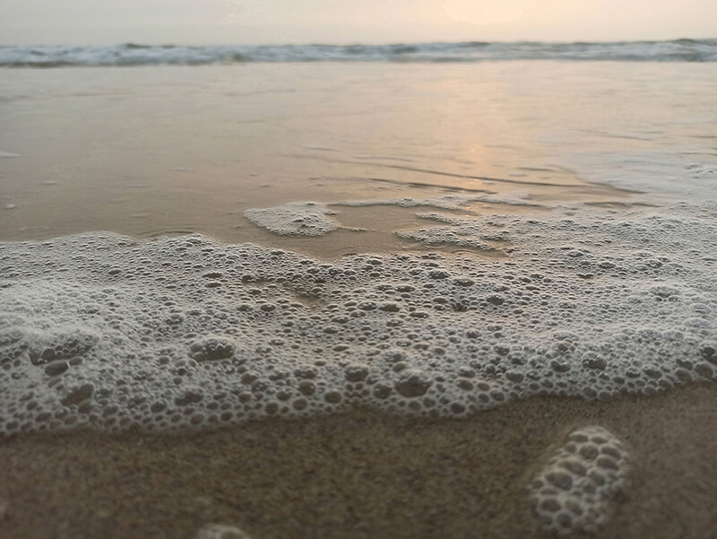 Bọt biển từ sóng biển